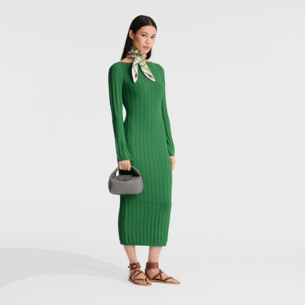 Longchamp Le pliage xtra xs handbag Vip time amman jordan