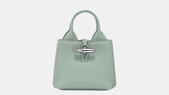 Longchamp Le Roseau XS Handbag- green