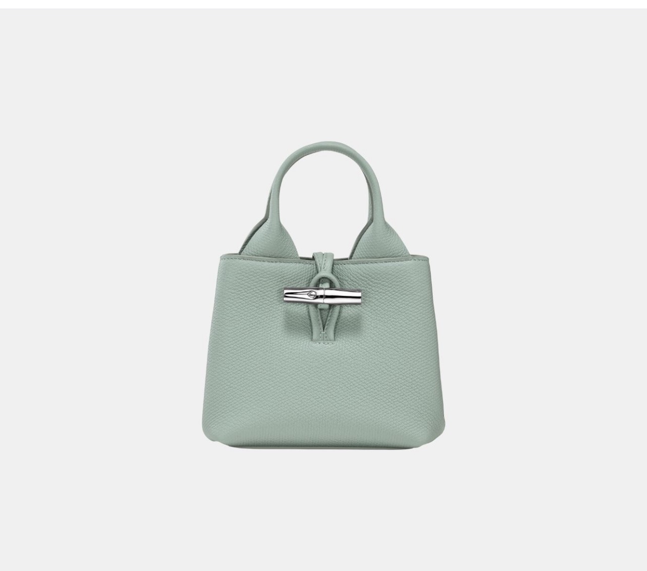 Longchamp Le Roseau XS Handbag- green